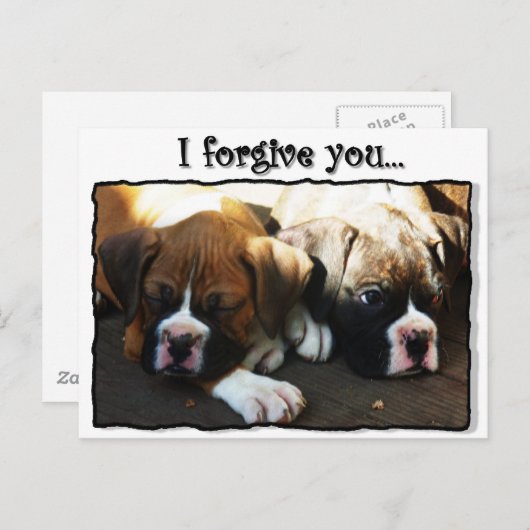 Ich vergib dir Boxerwelpen Postkarte (Vorne/Hinten)