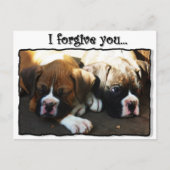 Ich vergib dir Boxerwelpen Postkarte (Vorderseite)