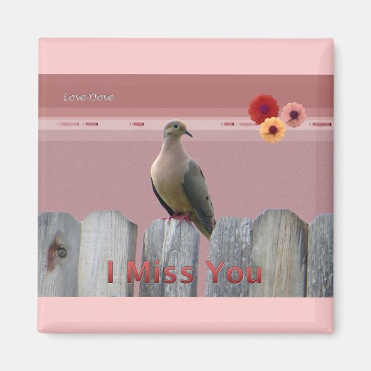 Ich vermisse deine Liebe Dove Magnet (Vorne)