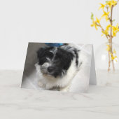 Ich vermisse dich - Havanese Puppy Karte (Gelbe Blume)