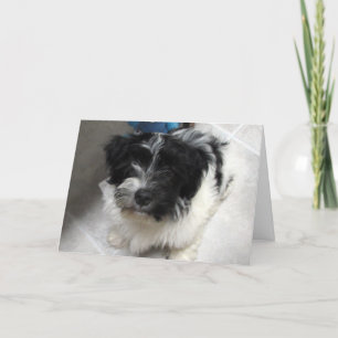 Ich vermisse dich - Havanese Puppy Karte