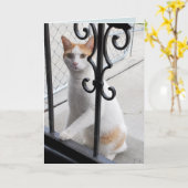 Ich vermisse dich Katze Karte (Gelbe Blume)