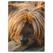 Ich vermisse dich klemmbrett (Rückseite)