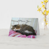 Ich vermisse dich, Maine Coon Cat Card Karte (Gelbe Blume)