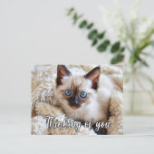 Ich vermisse dich - Niedliche siamesische Katze Postkarte (Stehend Vorderseite)