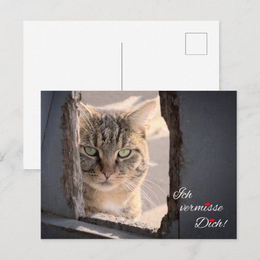 Ich vermisse dich! postkarte (Vorne/Hinten)
