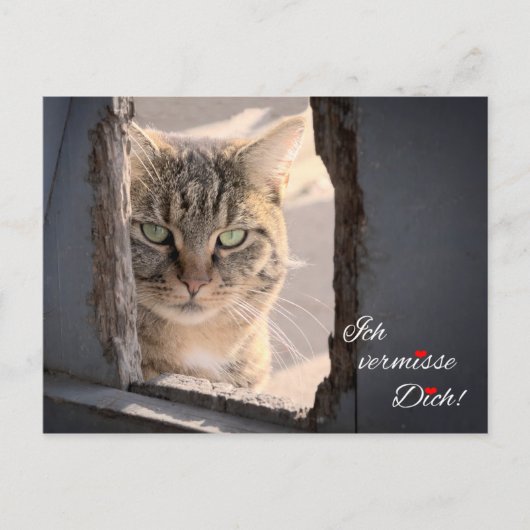 Ich vermisse dich! postkarte (Vorderseite)