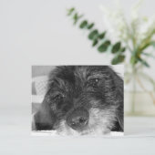 Ich vermisse dich postkarte (Stehend Vorderseite)