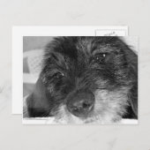 Ich vermisse dich postkarte (Vorne/Hinten)