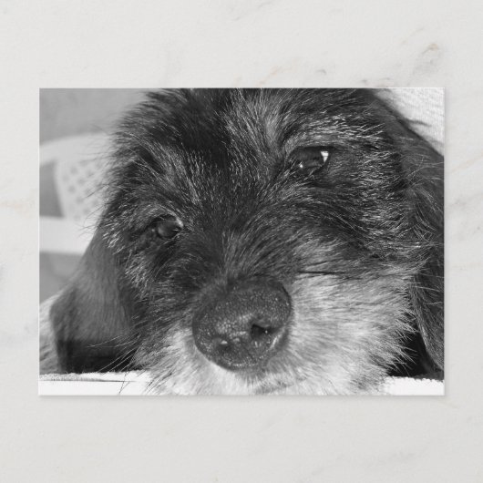 Ich vermisse dich postkarte (Vorderseite)