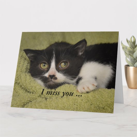 Ich vermisse dich, Shy Tuxedo Kitten Card Karte (Kleine Pflanze)
