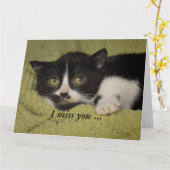 Ich vermisse dich, Shy Tuxedo Kitten Card Karte (Gelbe Blume)