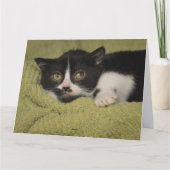 Ich vermisse dich, Shy Tuxedo Kitten Card Karte (Rückseite)