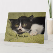 Ich vermisse dich, Shy Tuxedo Kitten Card Karte (Vorderseite)