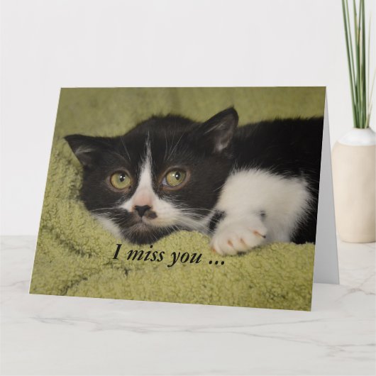 Ich vermisse dich, Shy Tuxedo Kitten Card Karte (Vorderseite)