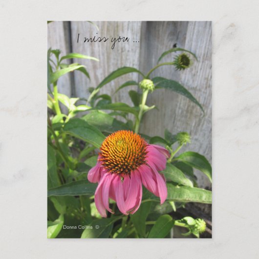 Ich vermisse dich so viel Postkarte (Vorderseite)
