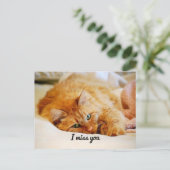 Ich vermisse dich, Süße Orange Maine Coon Cat Postkarte (Stehend Vorderseite)