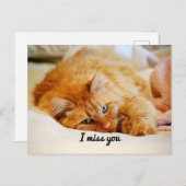 Ich vermisse dich, Süße Orange Maine Coon Cat Postkarte (Vorne/Hinten)