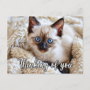 Ich vermisse dich - Süße siamesische Katze Postkarte