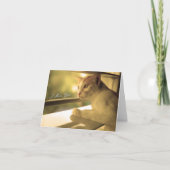 Ich vermisse Ihre Note Card Karte (Vorderseite)