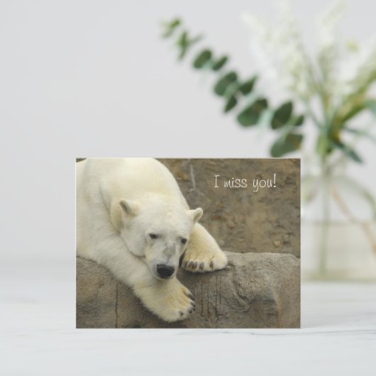 Ich vermisse Sie - Polar Bear Postcard Postkarte (Stehend Vorderseite)