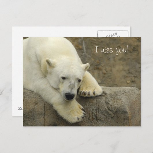 Ich vermisse Sie - Polar Bear Postcard Postkarte (Vorne/Hinten)