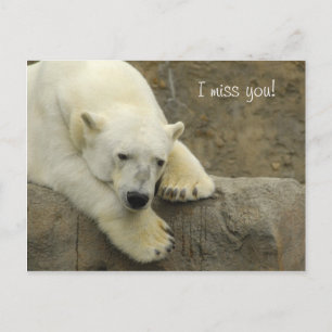 Ich vermisse Sie - Polar Bear Postcard Postkarte