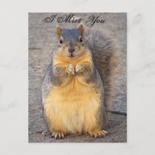 Ich vermisse Sie_ Postcard_by Elenne Boothe Postkarte (Vorderseite)