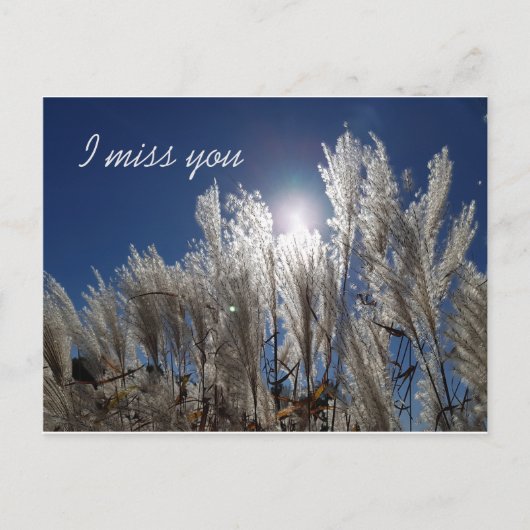 Ich vermisse Sie Postkarte (Vorderseite)