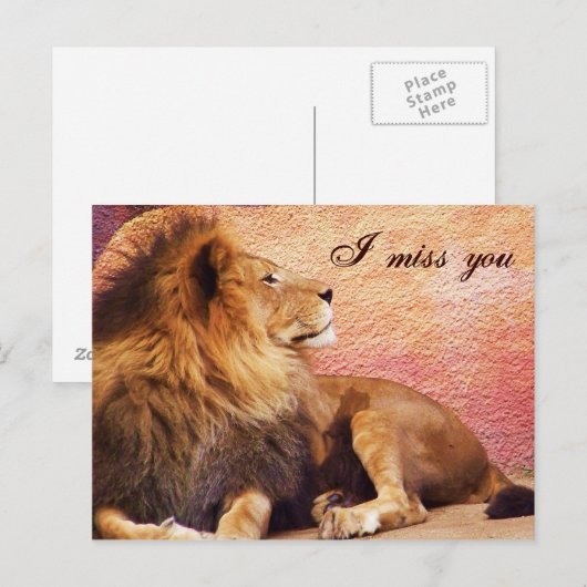 Ich vermisse Sie_ Postkarte (Vorne/Hinten)