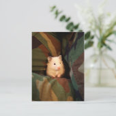 Ich verstecke mich postkarte (Stehend Vorderseite)