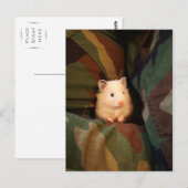 Ich verstecke mich postkarte (Vorne/Hinten)