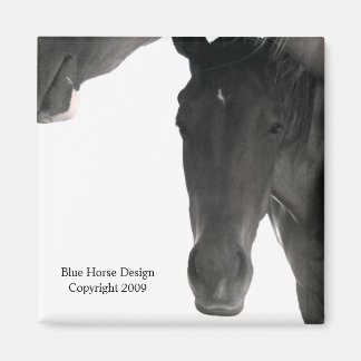 Ich versuche hier zu schlafen magnet