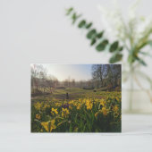 Ich wanderte einsam als Wolke von William Wordswor Postkarte (Stehend Vorderseite)