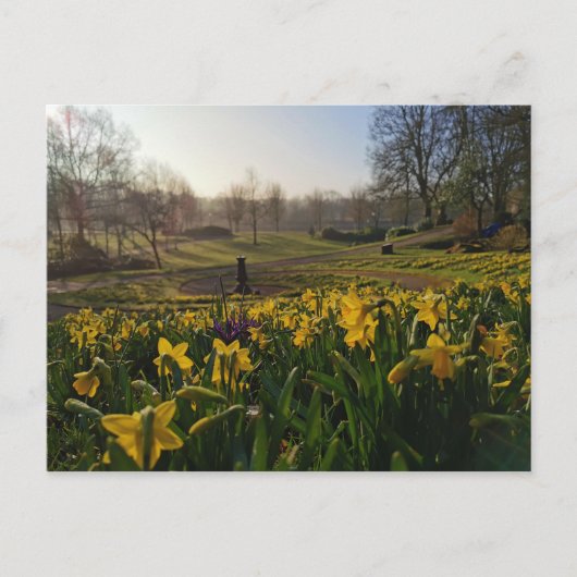 Ich wanderte einsam als Wolke von William Wordswor Postkarte (Vorderseite)