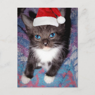 ICH WAR DIESES JAHR GUT POSTKARTE