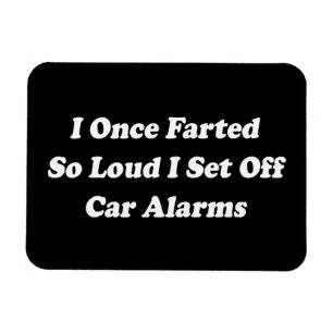 Ich war einmal so laut, dass ich von Autoalarmen S Magnet