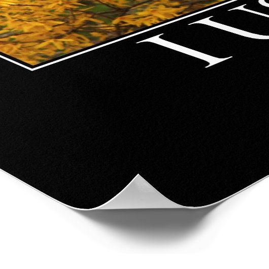 Ich war mal. Cat Artwork Funny Poster (Ecke)