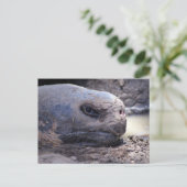 Ich war schlafend postkarte (Stehend Vorderseite)