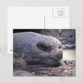 Ich war schlafend postkarte (Vorne/Hinten)