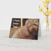 ICH WAR SCHLECHTER GEBURTSTAG KARTE (Gelbe Blume)