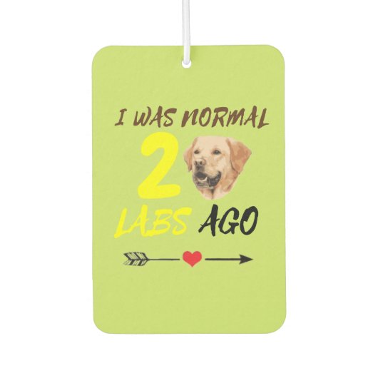 Ich war vor 2 Labradoren normal Autolufterfrischer (Vorderseite)