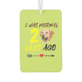 Ich war vor 2 Labradoren normal Autolufterfrischer (Rückseite)