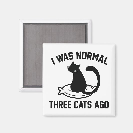 Ich war vor drei Katzen normal Magnet (Vorderseite/Rückseite)