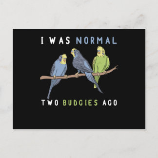 Ich war vor zwei Budgie Bird normal Postkarte