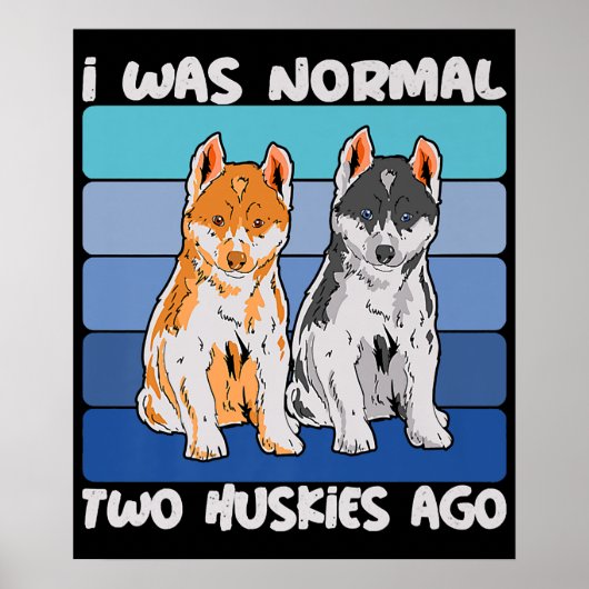 Ich war vor zwei Huskies normal | Shiba Dog Poster (Vorne)