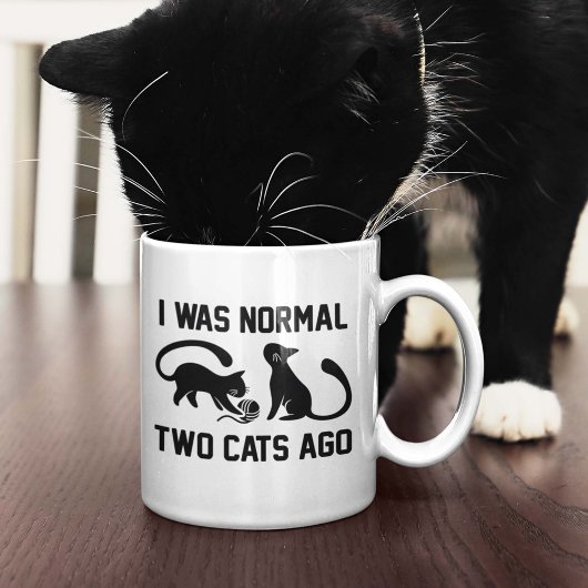 Ich war vor zwei Katzen normal Kaffeetasse