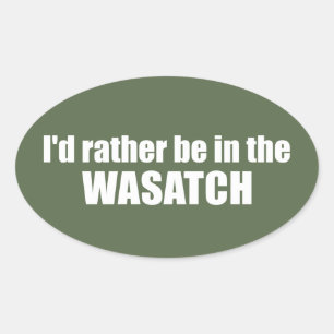 Ich wäre eher im Waschsalon Ovaler Aufkleber