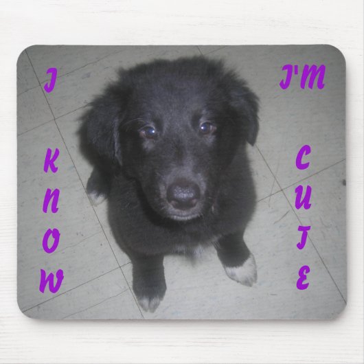 ICH WEISS, DASS ICH NIEDLICH PUPPY BIN MOUSEPAD (Vorne)