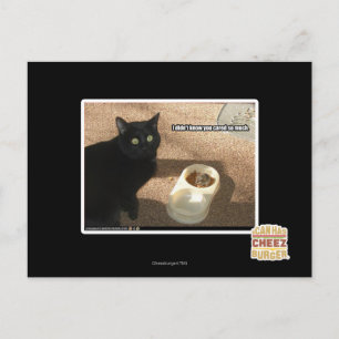 Ich weiß nicht, dass dir das wichtig ist postkarte